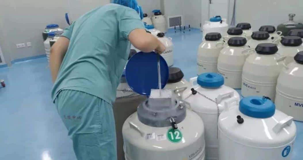 试管小白不用愁，get七大注意事项便可顺利促排？